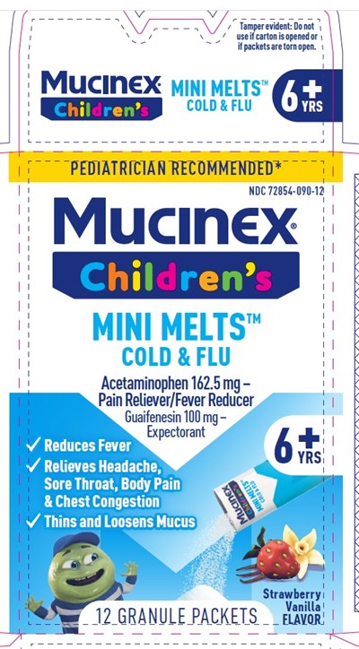 Carton Label (72854 090 Front Label)